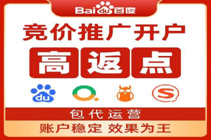 成功SEM推广代运营案例分享